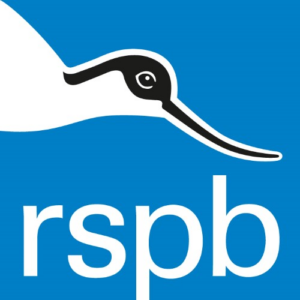 Case Study Logo - Case study: Navigating the next phase of hybrid work with RSPB